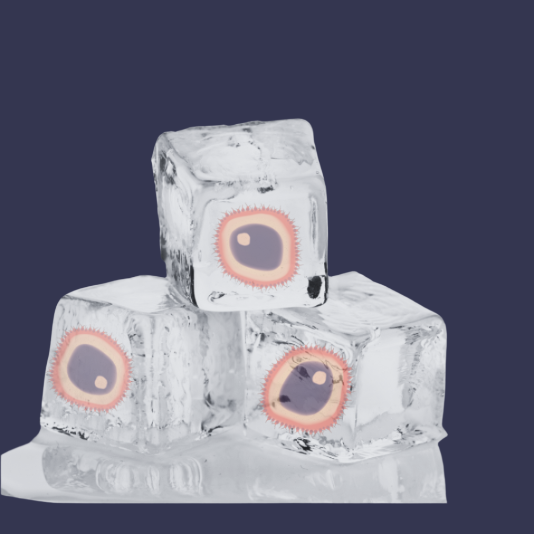 Egg Freezing: To go for it or not.