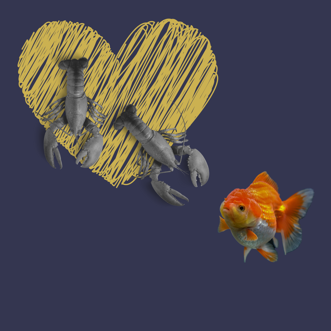 Infidelity Support Group