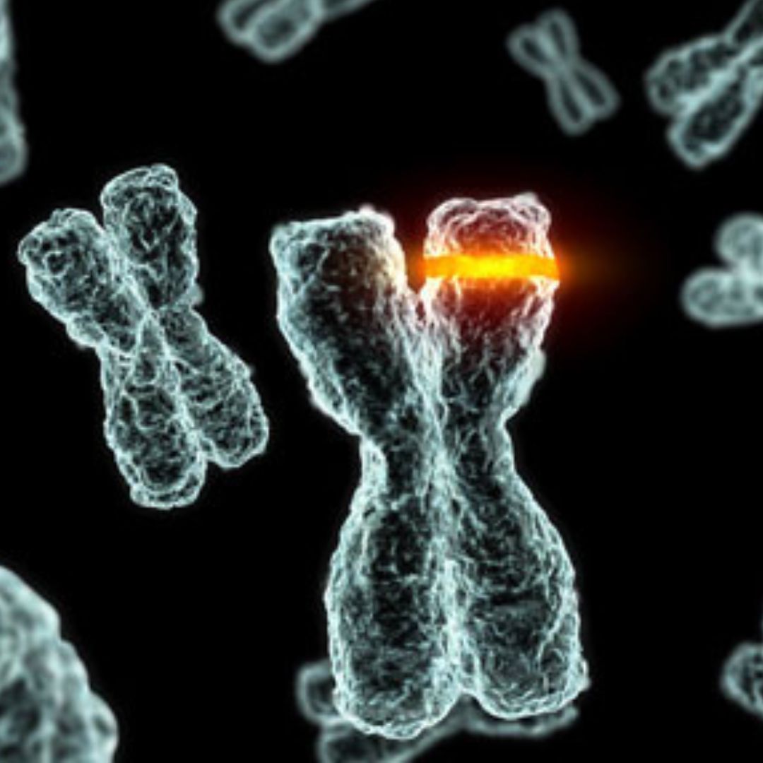 Making sense of Dhruv