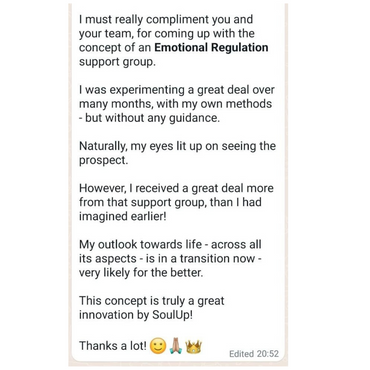 User feedback on the Emotional Regulation Group.